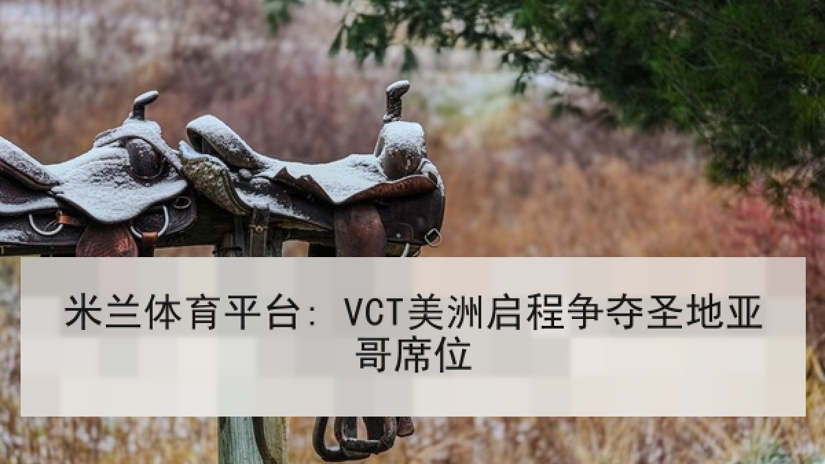 米兰体育平台: VCT美洲启程争夺圣地亚哥席位