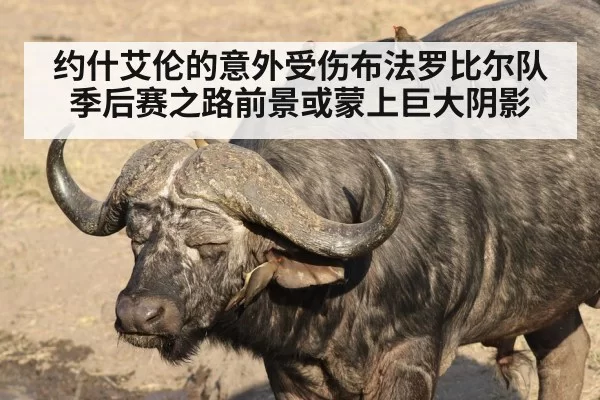 约什艾伦的意外受伤布法罗比尔队季后赛之路前景或蒙上巨大阴影